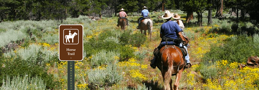 horse trail sign